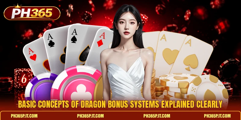 Basic concepts of Dragon Bonus systems explained clearly Basic concepts of Dragon Bonus systems explained clearly
