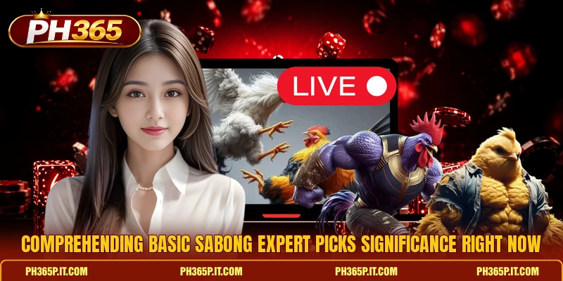 Comprehending basic Sabong Expert Picks significance right now Comprehending basic Sabong Expert Picks significance right now