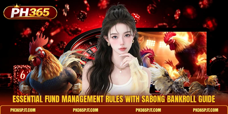 Essential fund management rules with Sabong Bankroll Guide Essential fund management rules with Sabong Bankroll Guide