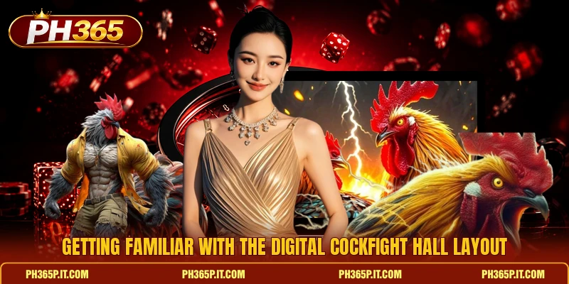 Getting familiar with the digital cockfight hall layout