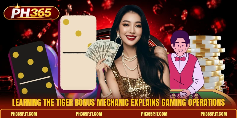 Learning the Tiger Bonus mechanic explains gaming operations Learning the Tiger Bonus mechanic explains gaming operations