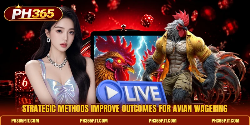 Strategic methods improve outcomes for avian wagering Strategic methods improve outcomes for avian wagering
